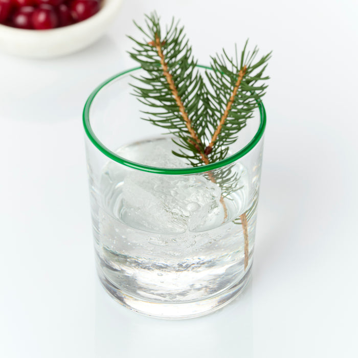 24 Seven Seasonal Medium Tumblers, Set of 6