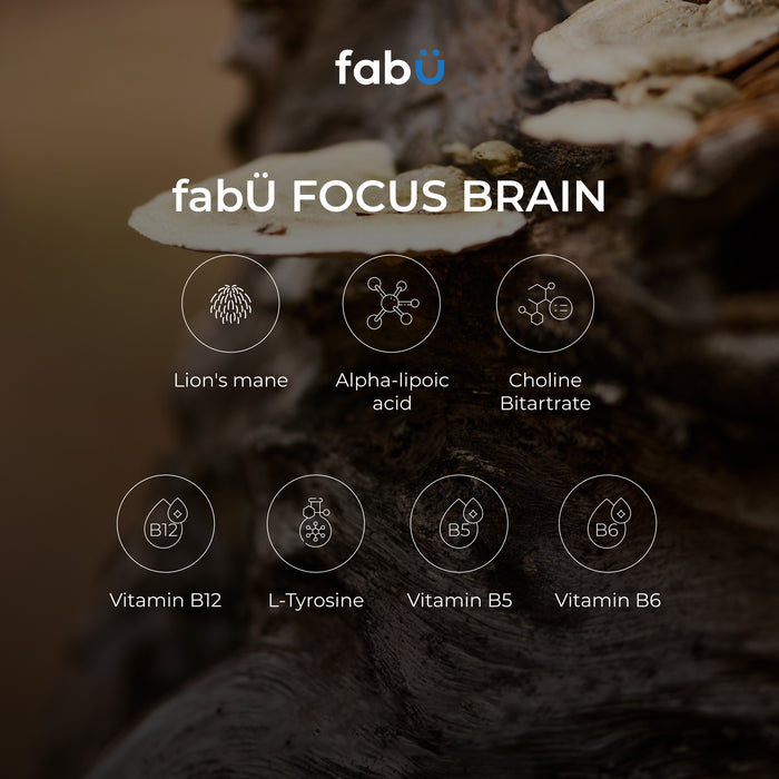 FabÜ Focus Brain - Evergreen Healthfoods