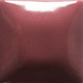 FN025 Raspberry Whip