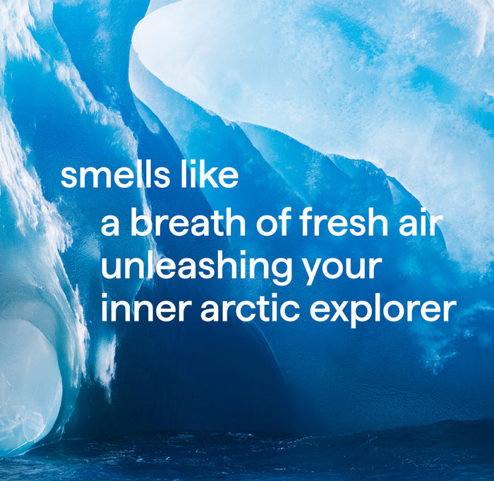 men body wash trio, 84 oz.