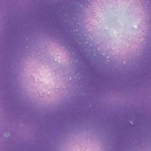 MG2723 Grape Divine