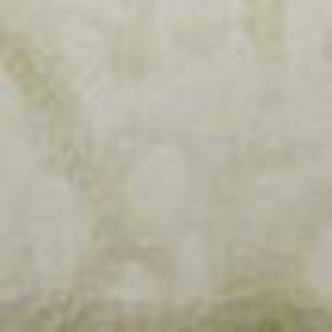 SP1421 Pear Ash