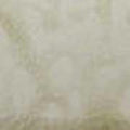 SP1421 Pear Ash