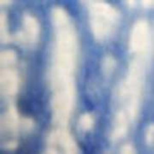 SP1426 Blueberry