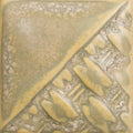 SW197 FOSSIL ROCK