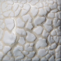 SW403 WHITE MUDCRACK