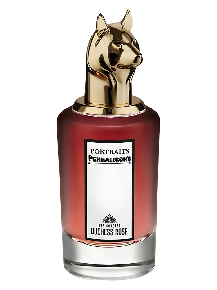 The Coveted Duchess Rose